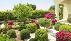 Nově ve výstavbě Sídliště Paphos