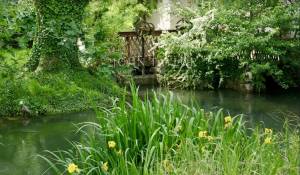 Prodej Bastide L'Isle-sur-la-Sorgue