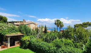 Prodej Byt Cas Català