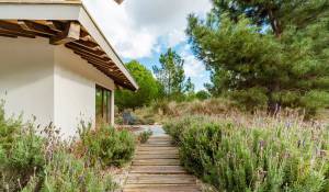 Prodej Byt Grândola e Santa Margarida da Serra