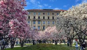 Prodej Byt Milano