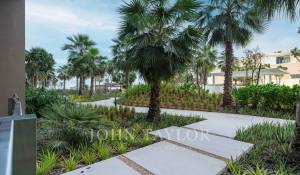 Prodej Byt Palm Jumeirah
