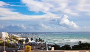 Prodej Byt Palma de Mallorca