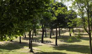 Prodej Byt Pozuelo de Alarcón
