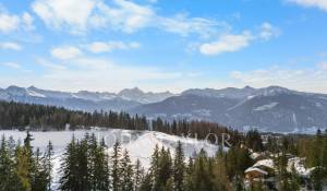 Prodej Chalet Crans-Montana