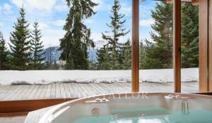 Prodej Chalet Crans-Montana