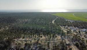 Prodej Dům Carvalhal