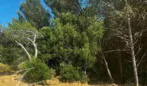 Prodej Dům Cascais e Estoril