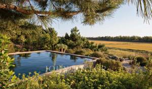 Prodej Dům Comporta