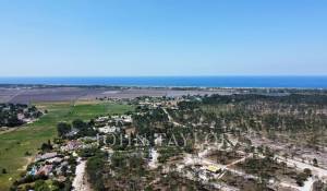 Prodej Dům Comporta