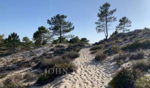 Prodej Dům Comporta