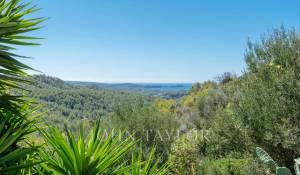 Prodej Dům Es Capdella