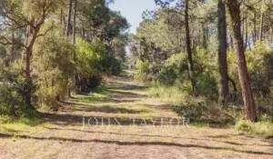 Prodej Dům Lège-Cap-Ferret