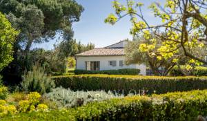 Prodej Dům Les Portes-en-Ré