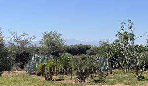 Prodej Dům Marrakech