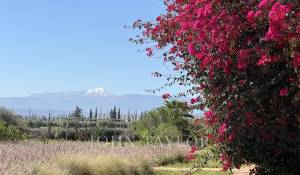 Prodej Dům Marrakech