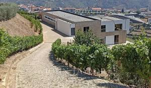 Prodej Dům Mesão Frio (Santo André)