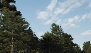 Prodej Dům Roca Llisa