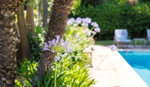 Prodej Dům Saint-Paul-de-Vence