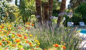 Prodej Dům Saint-Paul-de-Vence