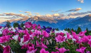 Prodej Duplex Crans-Montana