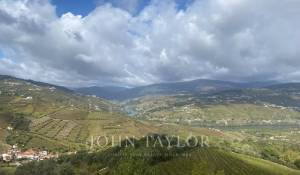 Prodej Hospodařit Cambres