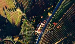 Prodej Hospodařit Cambres