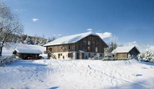 Prodej Hospodařit Praz-sur-Arly