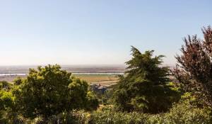 Prodej Hospodařit Vila Franca de Xira