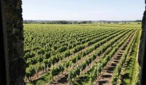 Prodej hrad Saint-Émilion