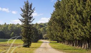 Prodej Jezdecký pozemek Barbentane