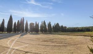 Prodej Jezdecký pozemek Barbentane