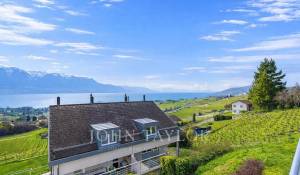 Prodej Link House Blonay-Saint-Légier