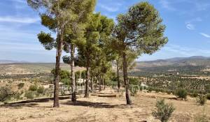 Prodej Mansion Marrakech