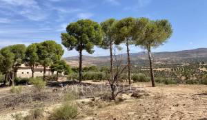 Prodej Mansion Marrakech