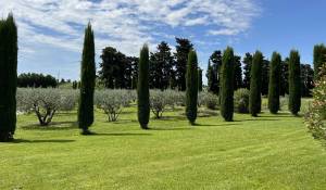 Prodej Mas L'Isle-sur-la-Sorgue