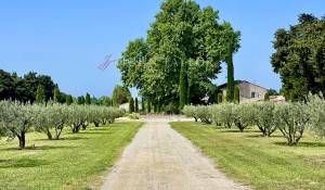 Prodej Mas L'Isle-sur-la-Sorgue