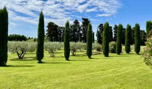 Prodej Mas L'Isle-sur-la-Sorgue