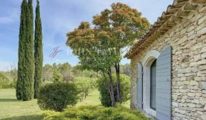 Prodej Mas Ménerbes