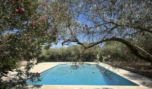 Prodej Mas Saint-Rémy-de-Provence