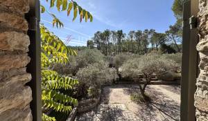 Prodej Mas Saint-Rémy-de-Provence