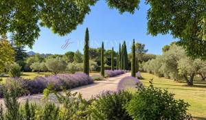 Prodej Mas Saint-Rémy-de-Provence
