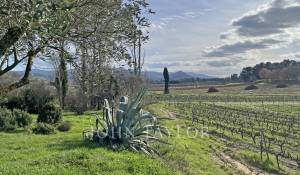 Prodej Mas Villedieu