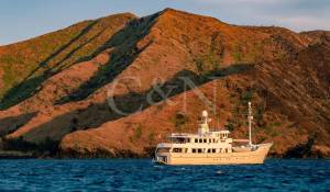 Prodej Motorová jachta 