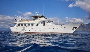 Prodej Motorová jachta 