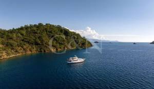 Prodej Motorová jachta 