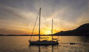 Prodej Plachetní jachta 