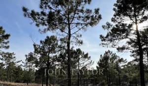 Prodej Pozemek Carvalhal