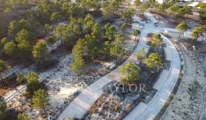 Prodej Pozemek Carvalhal