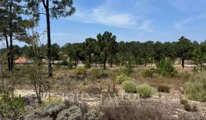 Prodej Pozemek Carvalhal